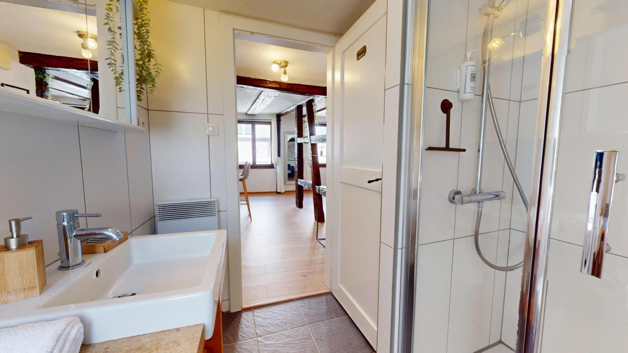 Au Petit Vauban 2 Chambres & Parking Colmar Eksteriør billede