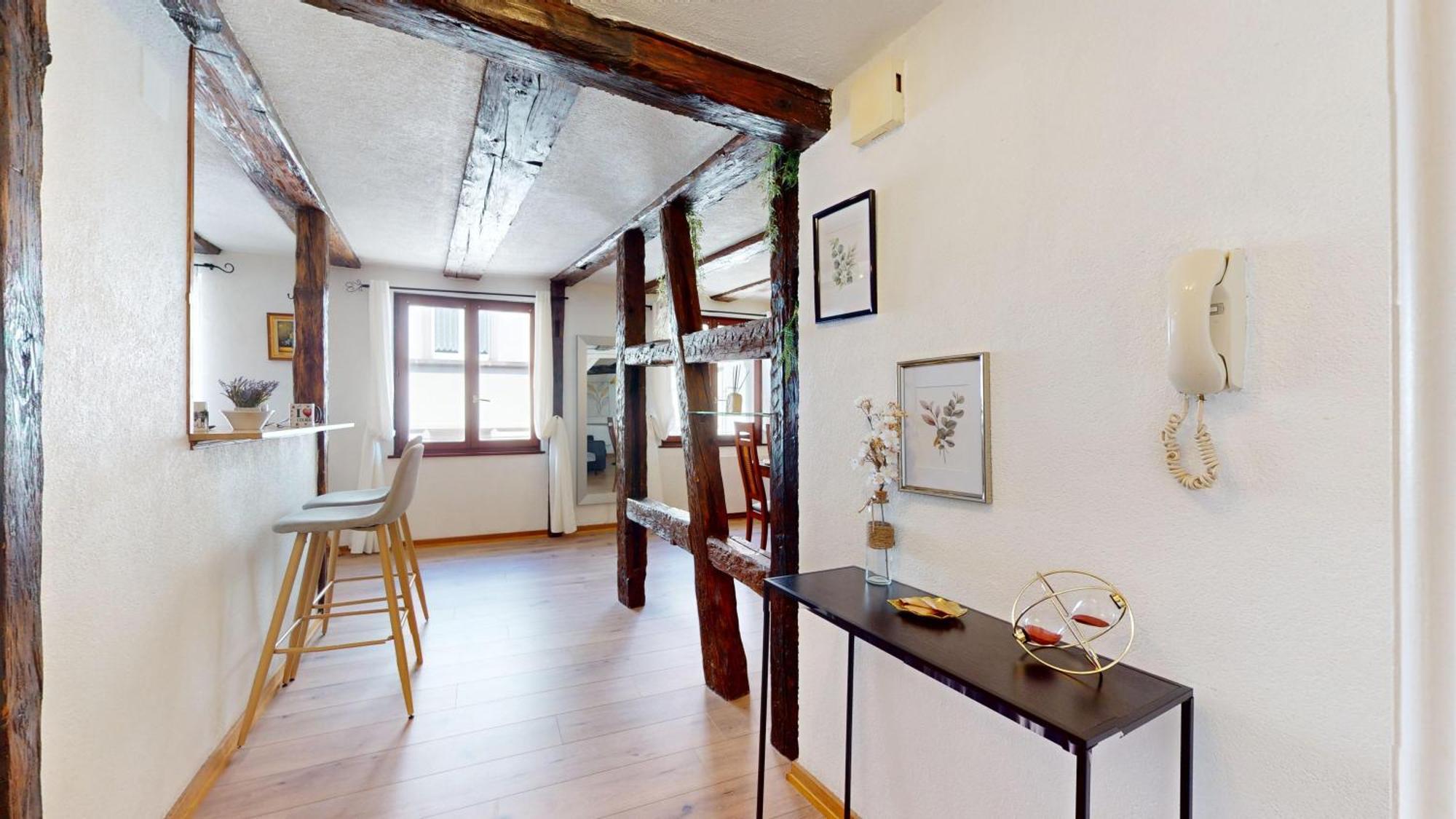Au Petit Vauban 2 Chambres & Parking Colmar Eksteriør billede